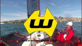 Weta vs Waspz