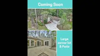 🏠️Home for sale in The Woodlands Grogans mill only $265,000 LOW Taxes 💎 Diamond homes realty