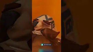 Torbj&ouml;rn POTG 2 | #Overwatch2