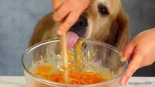 Amazing GIF Recipes From Reddit! Yummy! #2 ENJOY!!