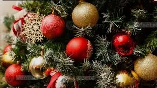 Live streaming of Kobe The Raptor Squad Putting Up Christmas Tree Part 1
