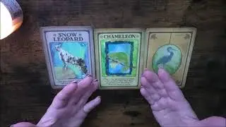 A MESSAGE FROM THE ANIMAL MESSENGERS