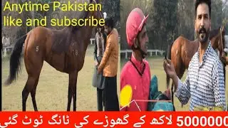 Lahore race club breaks 5 million horse leg