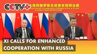 Xi, Putin Agree to Promote Continuous High-level Development of Ties, Multilateral Cooperation