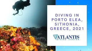 Diving in Porto Elea June 2021