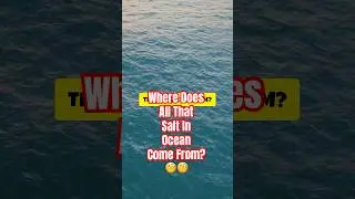 Why Oceans Are Salty (The Science of Sea Salt)
