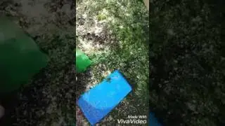 طريقة الحفاظ على طعم بوخو