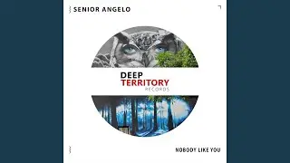 Nobody Like You
