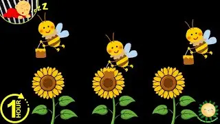 Baby Sensory Video | Cute Buzzing Bees in Nature | Calm Visuals for Babies