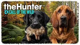 🔍 Bloodhound czy Labrador?! Przedstawiam DLC z psami! # theHunter: Call of the Wild 🦌👍 [PL]