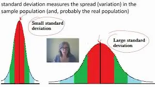 0.07 AP Bio Skills (standard deviation and error bars)