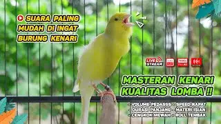 Kenari GACOR‼️ COCOK untuk Masteran Kenari PAUD dan Pancingan Kenari MACET BUNYI ( EPISODE 248 )
