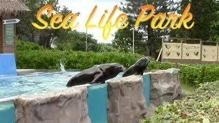 Sea Life Park Hawaii