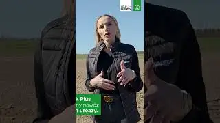 Zastanawiasz się, jak efektywnie nawozić kukurydzę azotem?