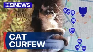 Campaign to stop cats roaming Melbourne streets | 9 News Australia