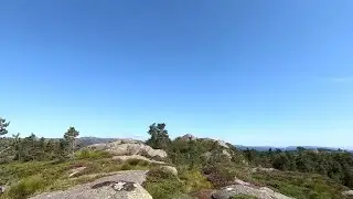 Nipedalen - Gravdalsfjellet 21.07.2021