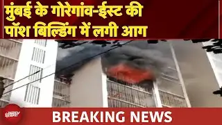 Mumbai Fire Breaking News: गोरेगांव-ईस्ट की पॉश बिल्डिंग में 11वीं और 12वीं मंजिल में लगी आग