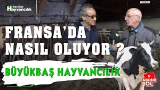 Hayvancılık Rehberi - Fransa'da Aile İşletmesini Ziyaret Ediyoruz  / 1.Bölüm