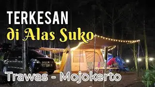 KESAN CAMPING DI ALAS SUKO MOJOKERTO