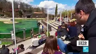 El safari de Peaugres un rinc&oacute;n de la sabana en la regi&oacute;n de Auvernia