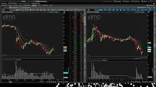 AMC Live Trading