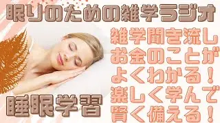 【聞き流し】寝ながらお金の雑学を学ぶ｜今さら聞けないお金の知識｜聞くだけで不安が消える雑学集｜寝ながらお金の雑学を学ぶ