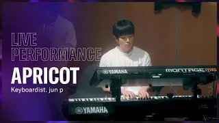 🍑살구를 재즈로 표현하면 이런 느낌? 키보디스트 준피(jun p)의 라이브 퍼포먼스 ㅣ Apricot - jun p
