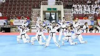 170731 K타이거즈 태권체조 결선 영상 모음 (K-tigers junior Taekwon Aerobic) [세계태권도한마당] by 비몽