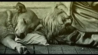 Pulga Phil M - Aos olhos de um sem abrigo