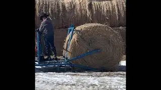 Horse drawn bale unroller