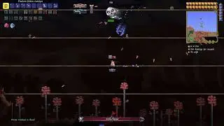 Terraria Infernum Skeletron Prime (stealth only rogue)