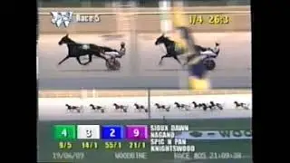 1999 Woodbine SIOUX DAWN Peter Wrenn North America Cup Elimination
