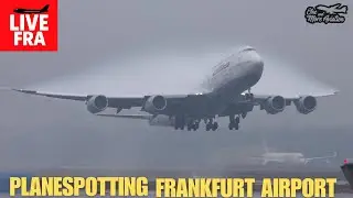 🔴Live Planespotting Frankfurt Airport Waterspray Action💦Shine the Light🔦BigJet TV | Lichthupe LH👨&zwj;✈️