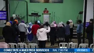 Servicio General: 
