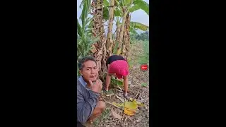 Funny video🔥funny comedy video#funnyvideo #funnyviralvideo