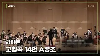 F.J.Haydn - Symphony No.14 in A major Hob I:14 │ 오르페오 TV