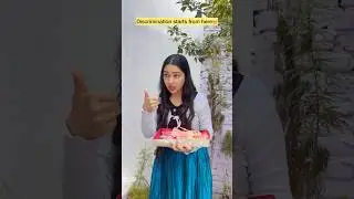 Discrimination starts from here 😂 #shorts #viral #explorepage