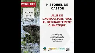 Histoires de castor :  un précieux allié de l'agriculture face au réchauffement climatique