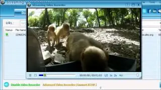 Jaksta Review and Alternative--Streaming Video Recorder.wmv