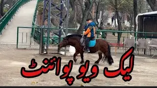 Part 6(2): Lake View Park Islamabad | Biggest & Beautiful Bird Zoo In Pakistan @saeedaalimehdi5631 