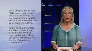 Basfakta Israel 5 - Vad var FN-resolution 181?