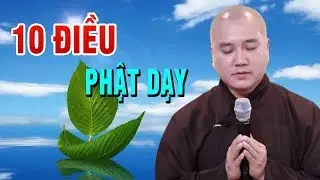 Biết Trước Được Nhân Quả Qua 10 Điều Phật Dạy (Cực Hay) - Thầy Thích Pháp Hòa