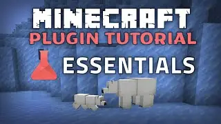 Essentials Plugin Minecraft 1.21.5 Guide