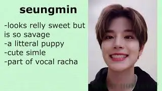 a (fandom jokes) guide to stray kids + all rachas explained