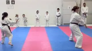 Brown Belts Practicing Bassai Dai | Shotokan Karate Kata in Winnipeg