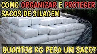 como organizar e empilhar sacos de silagem? quantos kg tem um saco? qual área preciso?