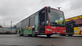 #29 / Mitfahrt auf der Linie 585 von Damme nach Osnabrück im Mercedes-Benz O530FLÜ