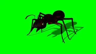 Ant walk - view 1 - green screen effects - free use