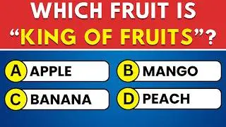 Can You Score 20/40 on This General Knowledge Quiz? 🧠 Ultimate Trivia Challenge! 📚