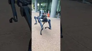 Woef, woef! Deze robothond beschermt de gebouwen van Samsung #samsung #robotdog #tech #samsunggalaxy